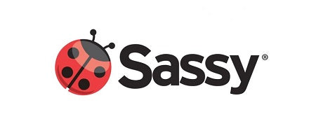 Sassy Logo mit rotem Marienkäfer Symbol und schwarzem Schriftzug für sensorische Spielzeuge
