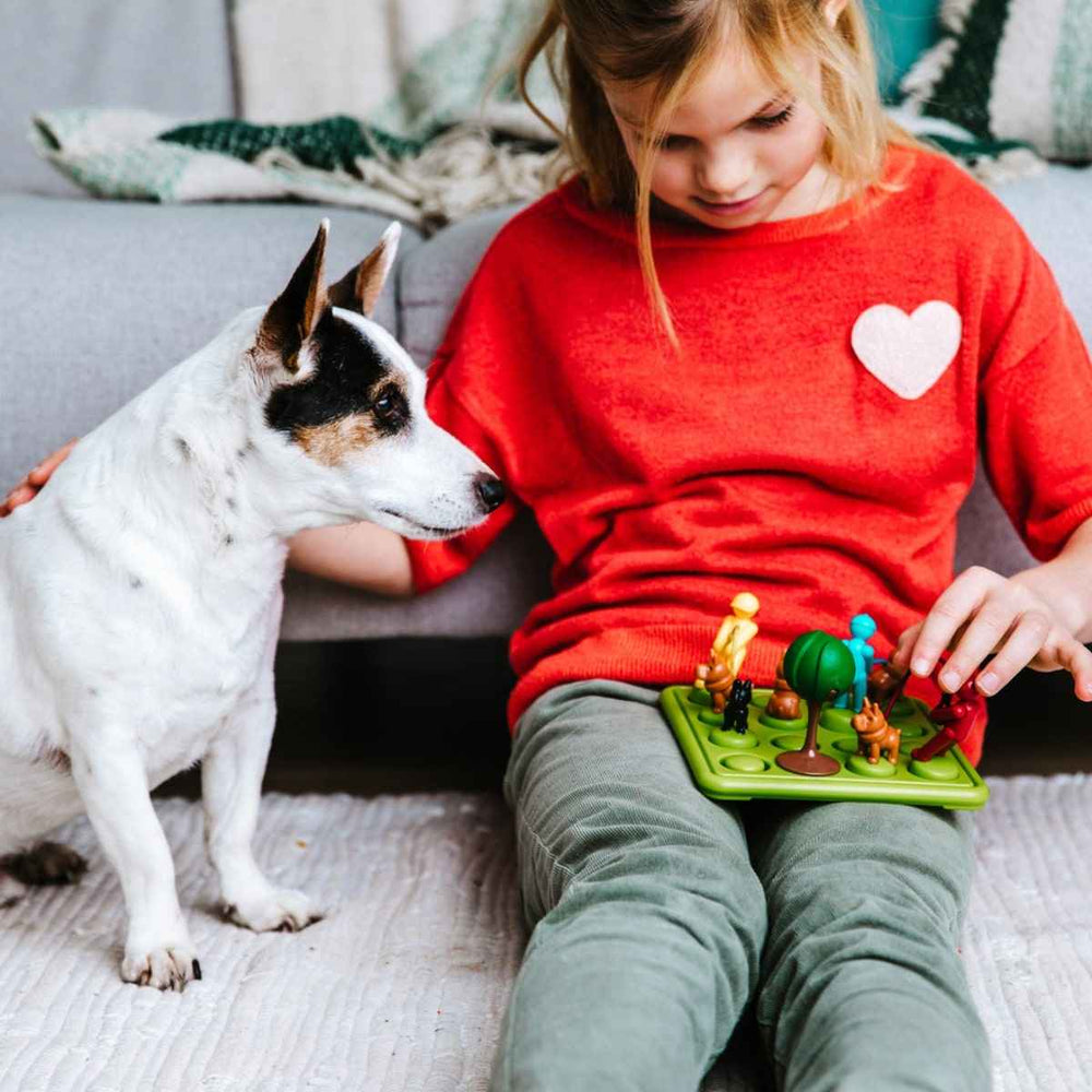 Gra logiczna Smart Games - Walk The Dog