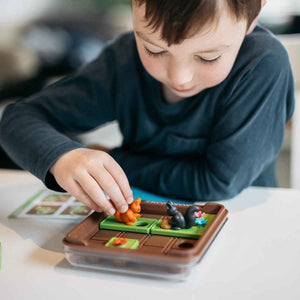 Gra logiczna Smart Games - Squirrels Go Nuts!