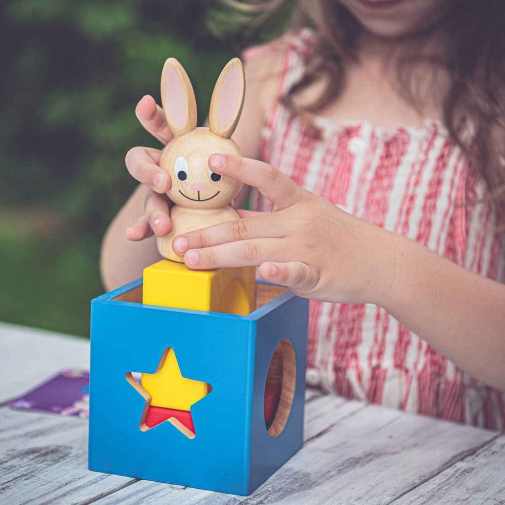 Gra logiczna Smart Games - Króliczek