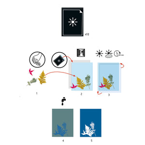 Kunstset Cyanotypie – Ersatzblätter - Tublu.de