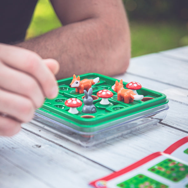 Logikspiel Smart Games – Hop Do Norki (PL)