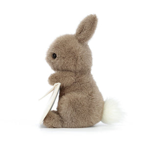 Jellycat Plüschkaninchen – Postbote 19 cm, braunes Kuscheltier mit Brief in den Pfoten
