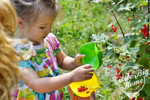 Bilibo Mini – 6 kleine Bilibo-Schalen