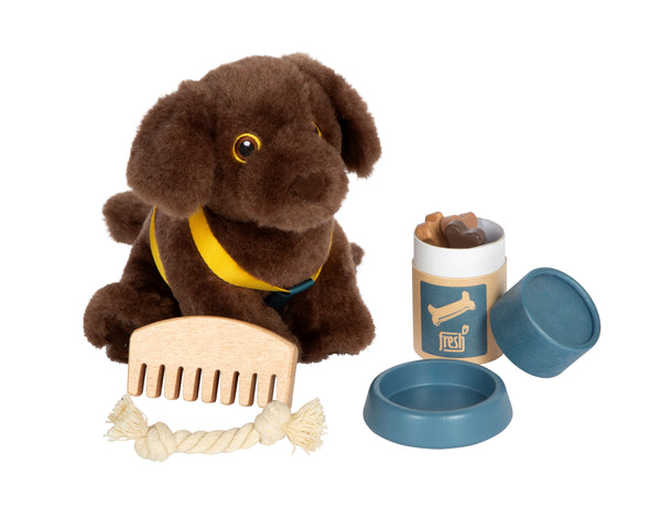 Labrador-Hund mit Tasche und Pflege-Set