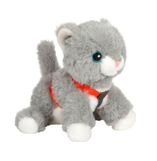 Katze mit Tasche und Pflege-Set