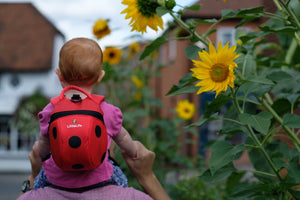 Rucksack Animal Pack Marienkäfer