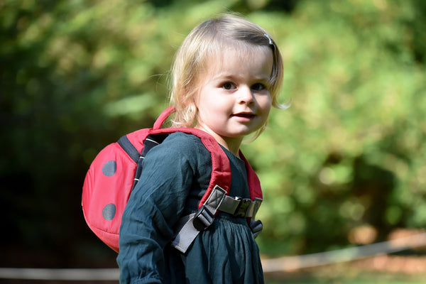 Rucksack Animal Pack Marienkäfer