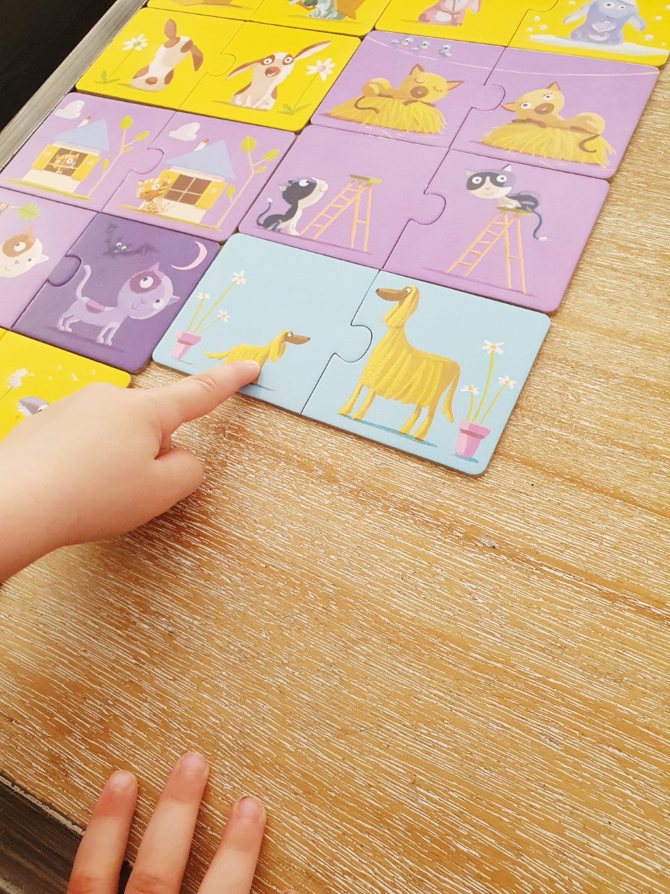Duo-Puzzle für die Kleinsten – Gegensätze