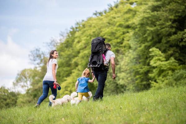 Reisesitz Voyager S5
