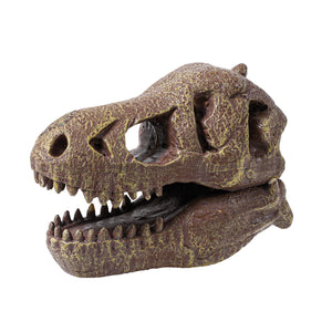 Dinosaurier-Schädelmuseum - Tyrannosaurus