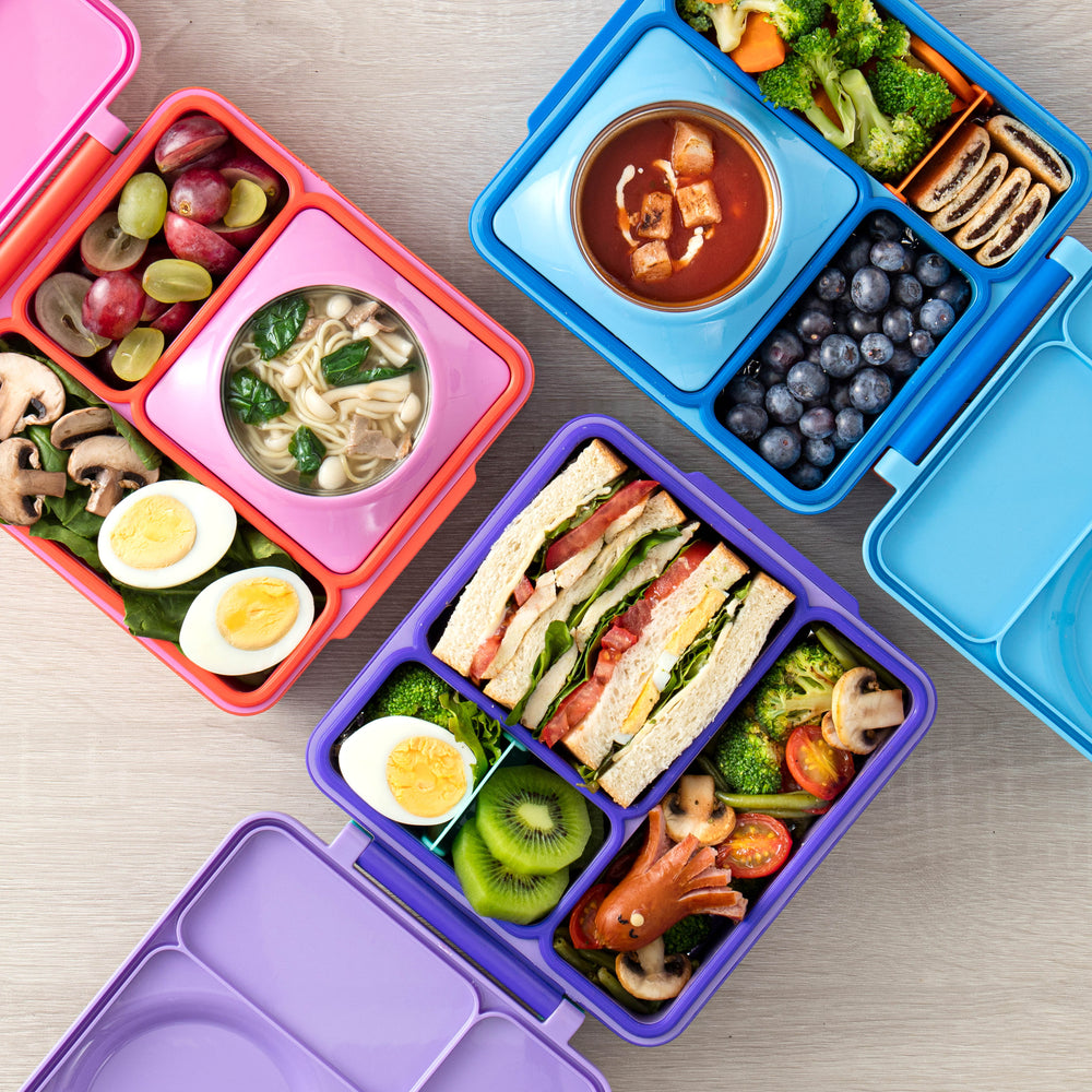 Dichtung für die OmieBox Lunchbox – Blue Sky