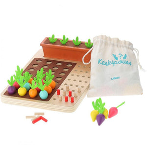 Brettspiel – Was wächst hier?