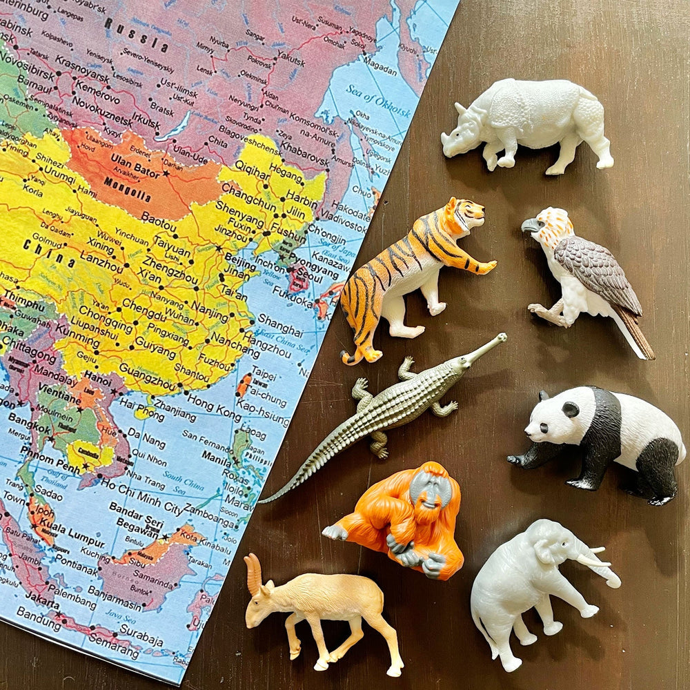 Figurenset in einer Tube TOOB – Tiere Asiens