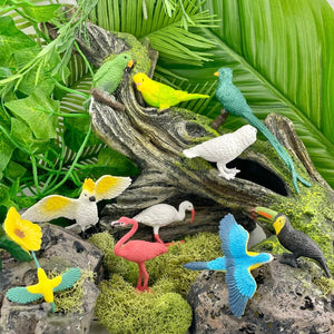 Figurenset in einer Tube TOOB – Exotische Vögel