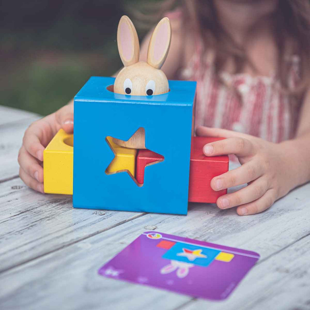 Gra logiczna Smart Games - Króliczek