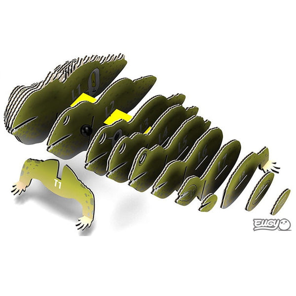 Öko-Puzzle 3D – Schieferzahn - Tublu.de