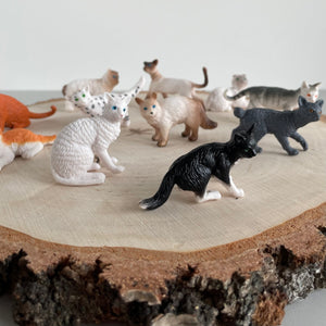 Figurenset in einer Tube TOOB - Hauskatzen - Tublu.de
