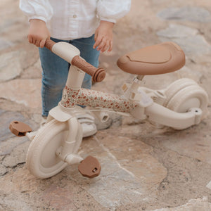 4-in-1-Dreirad mit Griff – Sunny Flower