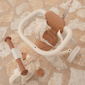 4-in-1-Dreirad mit Griff – Sunny Flower