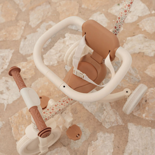 4-in-1-Dreirad mit Griff – Sunny Flower