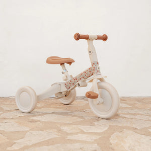 4-in-1-Dreirad mit Griff – Sunny Flower