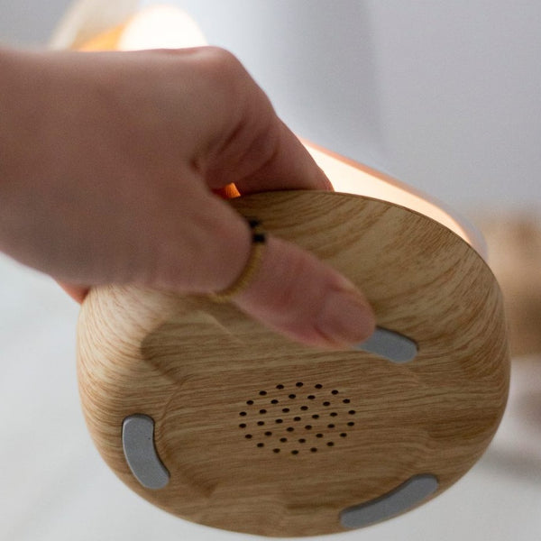 Lampe mit Lautsprecher – Weißer Papageientaucher