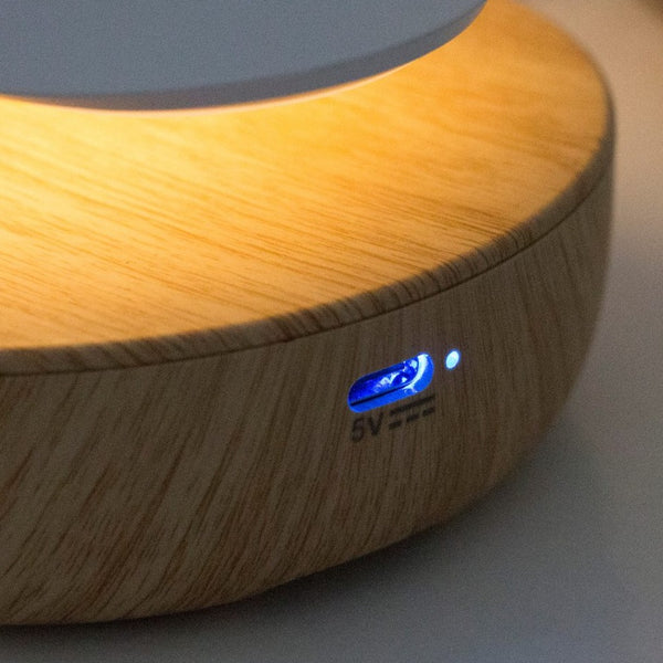 Lampe mit Lautsprecher – Weißer Papageientaucher