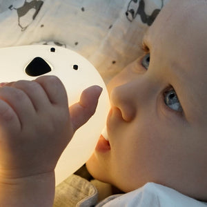 Große Bärenlampe – weiß