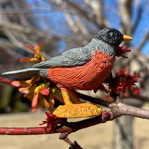 Figurenset in einer TOOB-Röhre – Gartenvögel - Tublu.de