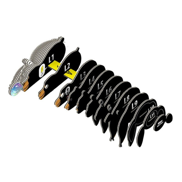 Öko-Puzzle 3D – Braunbär - Tublu.de