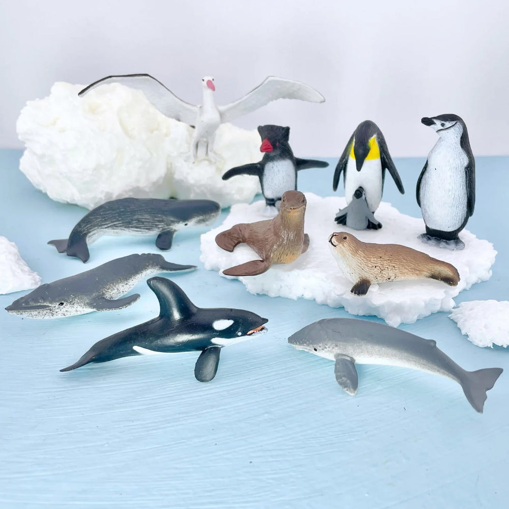 Figurenset in einer TOOB-Röhre – Tiere der Antarktis - Tublu.de