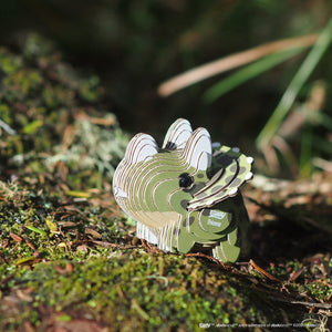 Öko-Puzzle 3D – Triceratops - Tublu.de