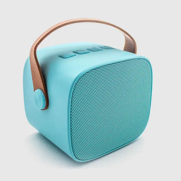 Kabelloses Karaoke-Set - Himmelblau