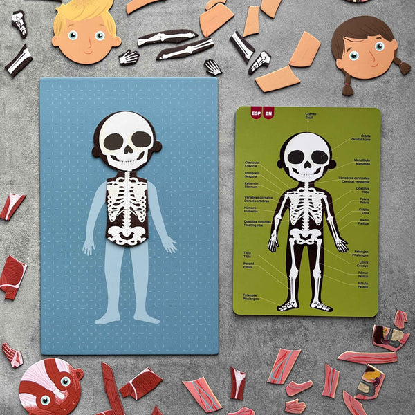 Magnetisches Puzzle – Der menschliche Körper - Tublu.de