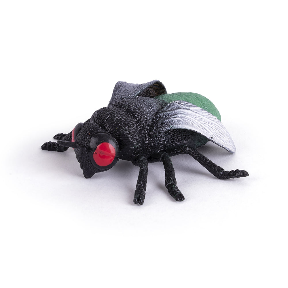Knetmasse-Set – Insekten 6 Stück - Tublu.de