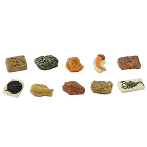 Figurenset in einer Tube TOOB – Fossilien - Tublu.de