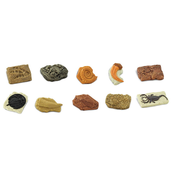 Figurenset in einer Tube TOOB – Fossilien - Tublu.de