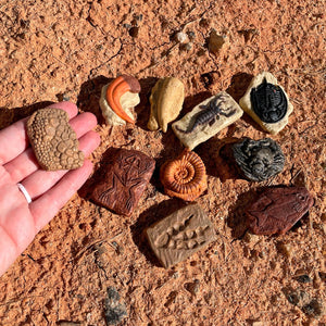 Figurenset in einer Tube TOOB – Fossilien - Tublu.de