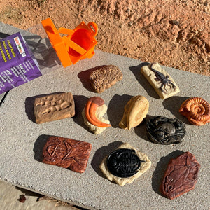 Figurenset in einer Tube TOOB – Fossilien - Tublu.de