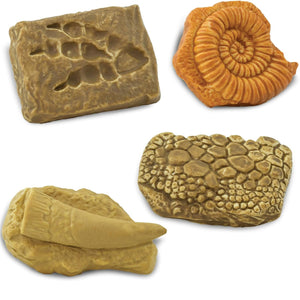 Figurenset in einer Tube TOOB – Fossilien - Tublu.de