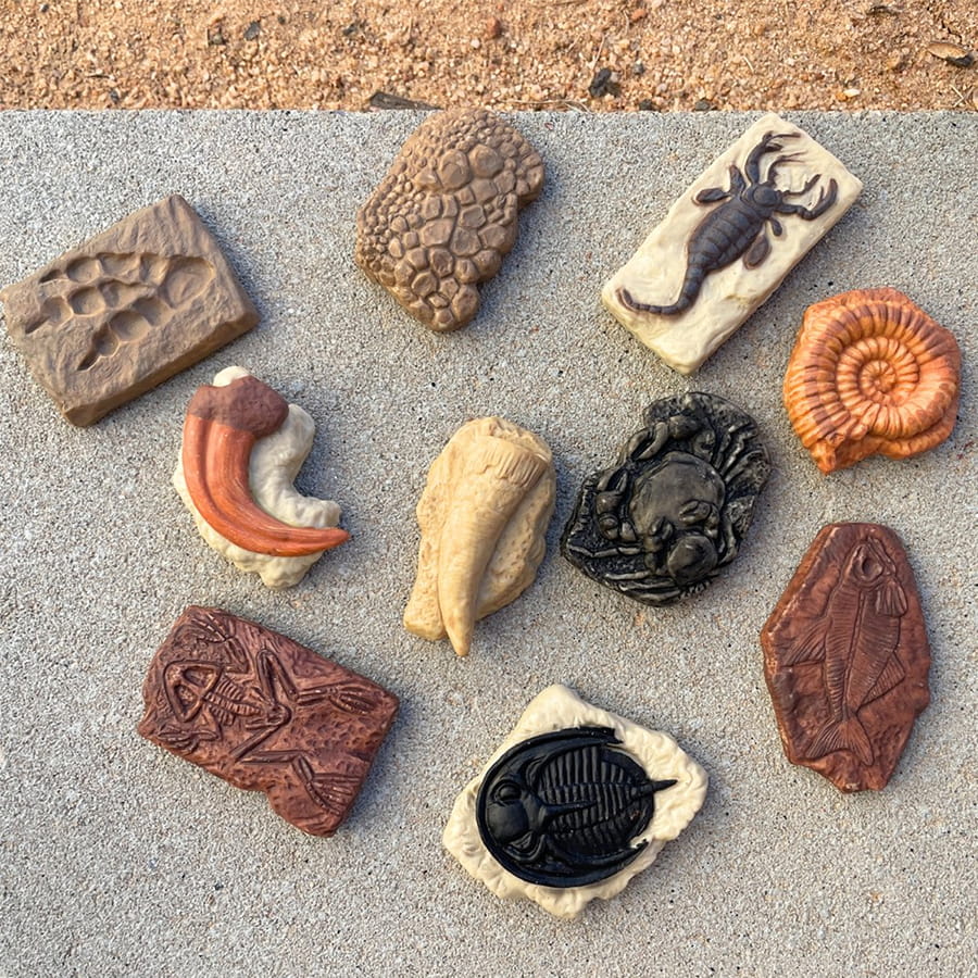 Figurenset in einer Tube TOOB – Fossilien - Tublu.de