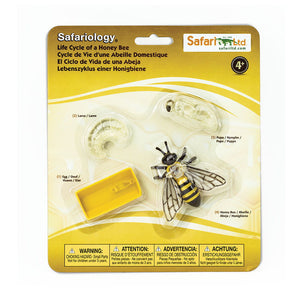 Figurenset Safariology – Lebenszyklus der Bienen - Tublu.de