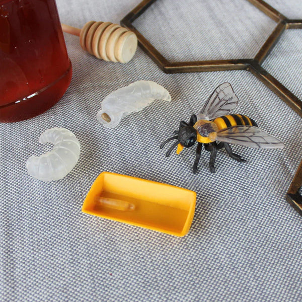 Figurenset Safariology – Lebenszyklus der Bienen - Tublu.de