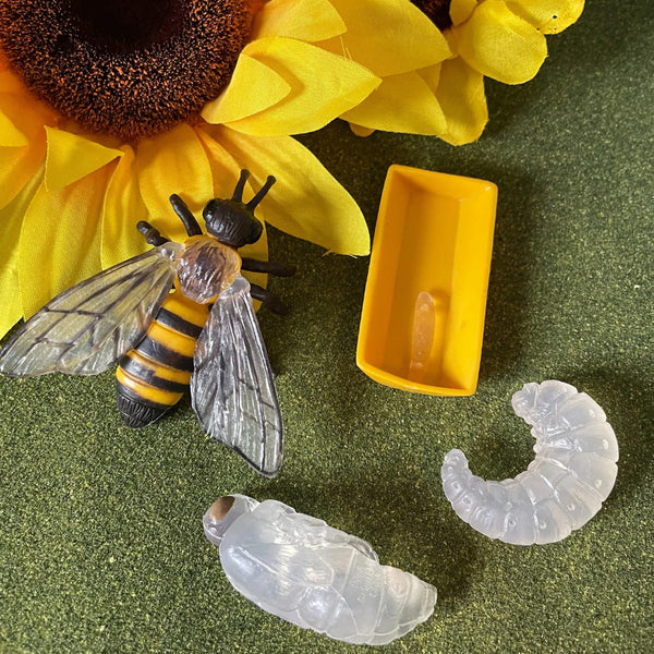 Figurenset Safariology – Lebenszyklus der Bienen - Tublu.de