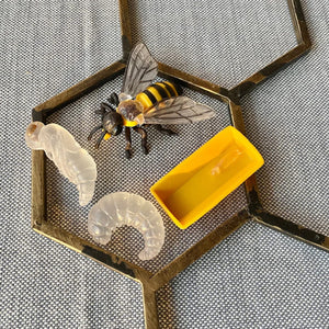 Figurenset Safariology – Lebenszyklus der Bienen - Tublu.de