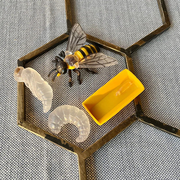 Figurenset Safariology – Lebenszyklus der Bienen - Tublu.de