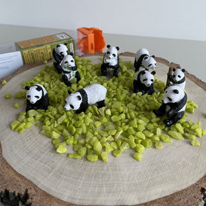 Figurenset in einer Tube TOOB - Pandas