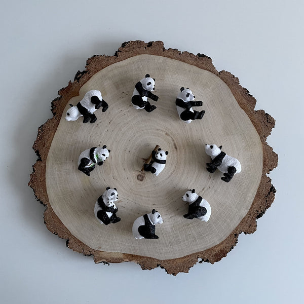 Figurenset in einer Tube TOOB - Pandas