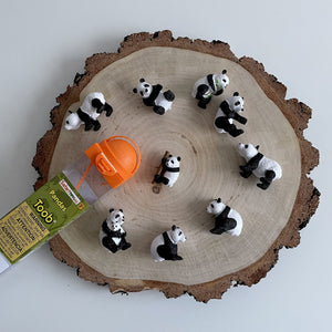 Figurenset in einer Tube TOOB - Pandas